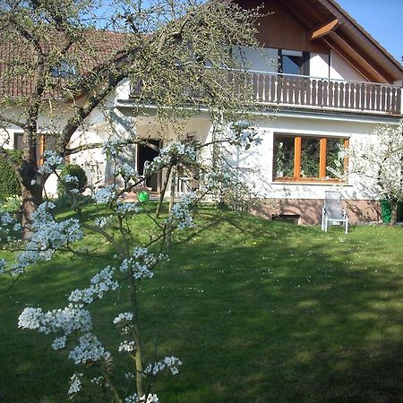 Ferienwohnung Lahntal/Taunus Huttenberg Kültér fotó